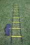 Picture of Training Ladder - 2 & 4 Metres