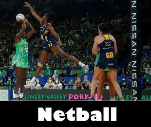 Picture for category For Netball